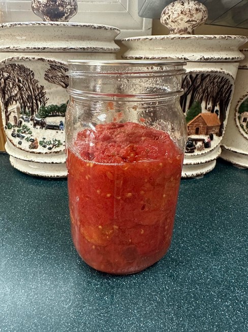 pureed-tomatoes