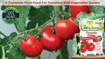 fertilizing-tomato-plants