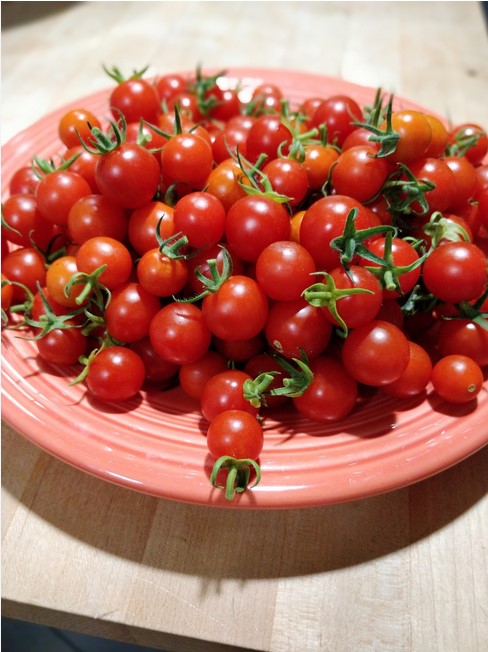 plate-tomatoes