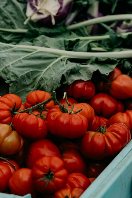 culinary-use-beefsteak-tomatoes