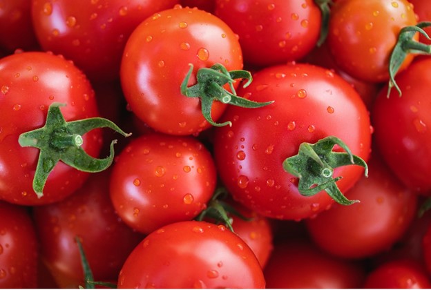 patio-tomatoes-feature-image