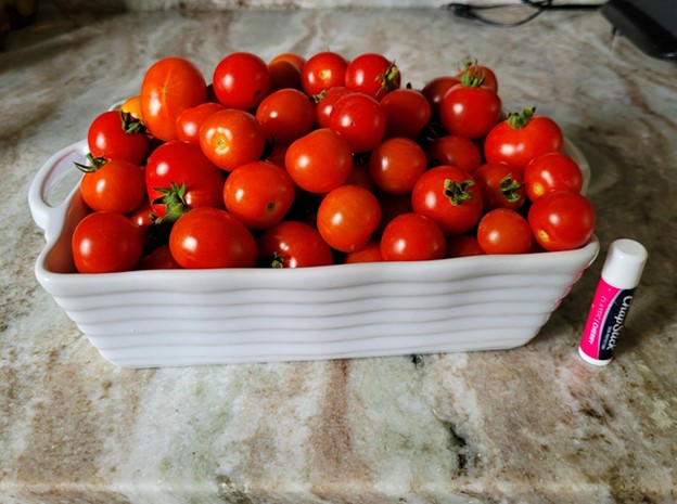 cherry-tomatoes