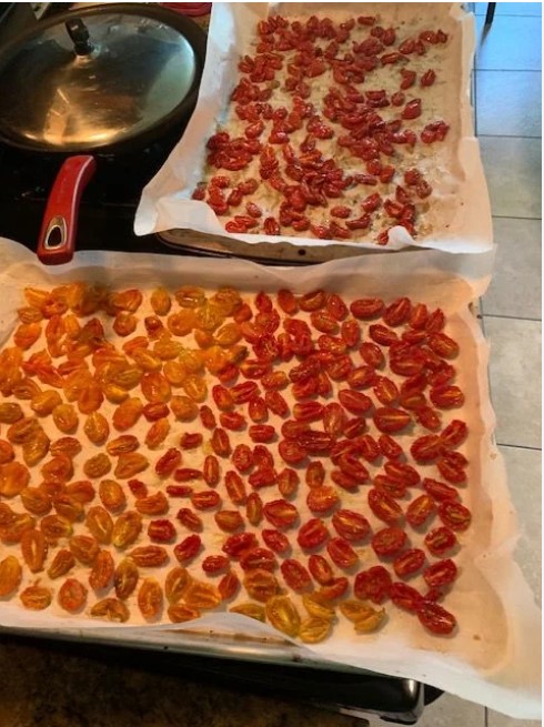 drying-tomatoes-