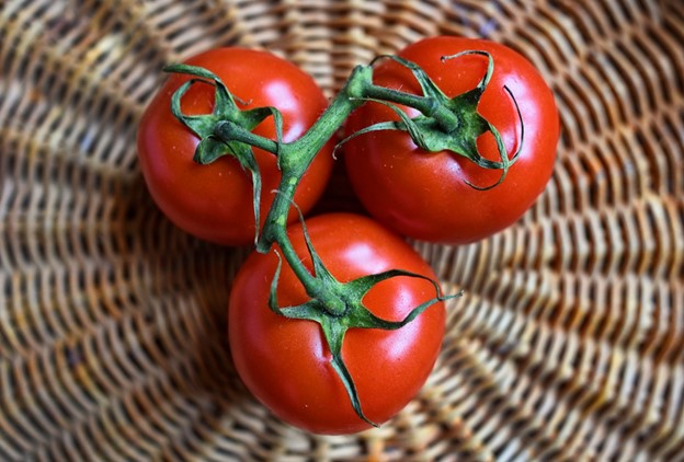 tomatoes-in-a basket