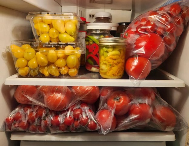 refrigerating-tomatoes