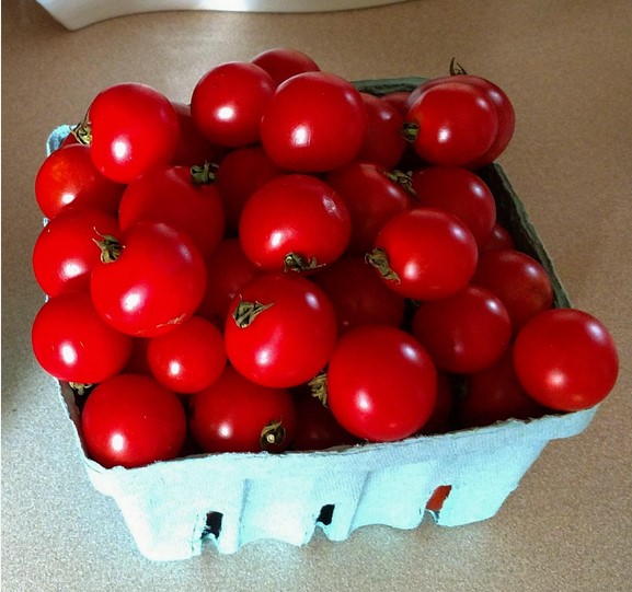 cherry-tomatoes