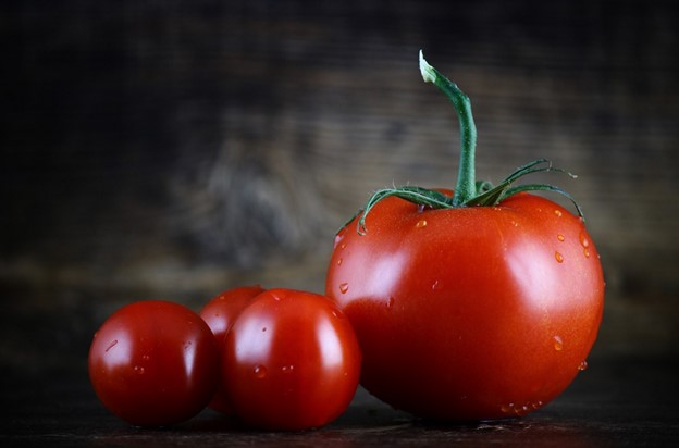 how-to-keep-tomatoes-fresh