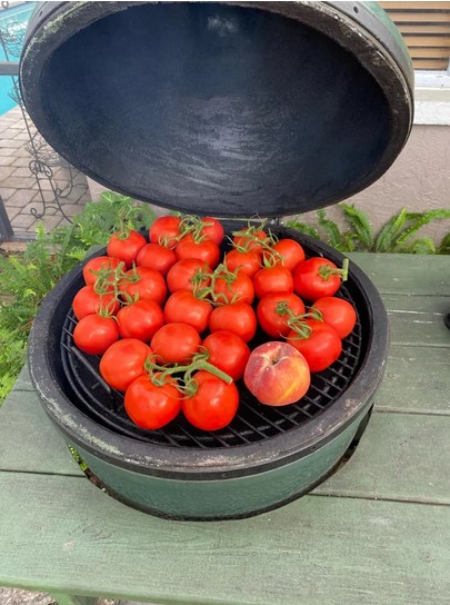 tomatoes-inside-grilling-machine