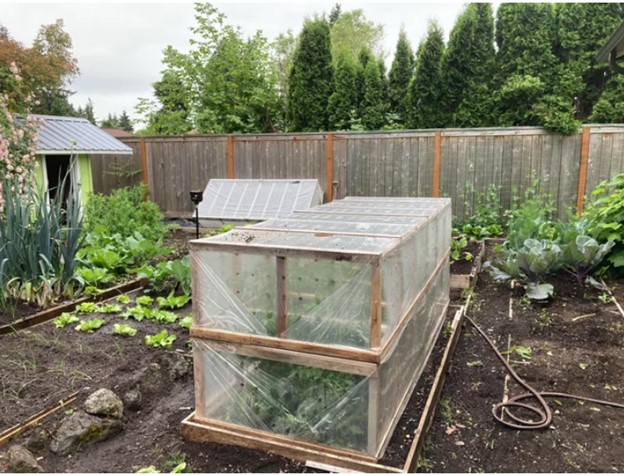 cold-frame