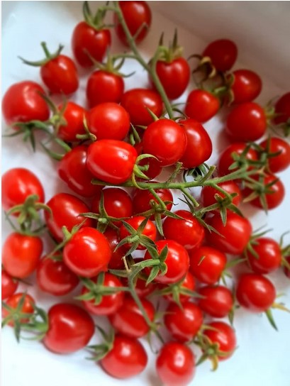 varieties-of-cherry-tomatoes-images