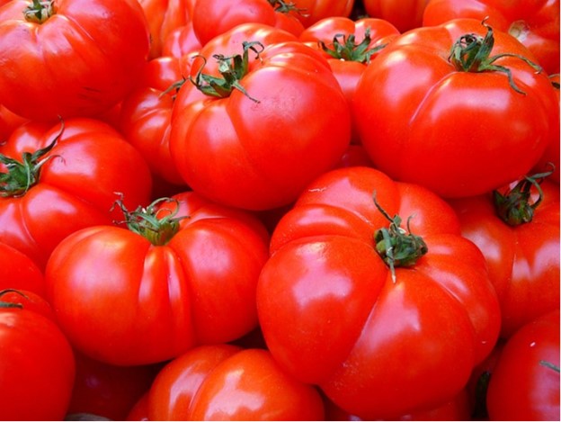 TOMATO-ORIGIN-FEATURE-IMAGE