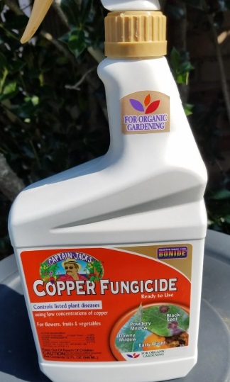 Bactericides